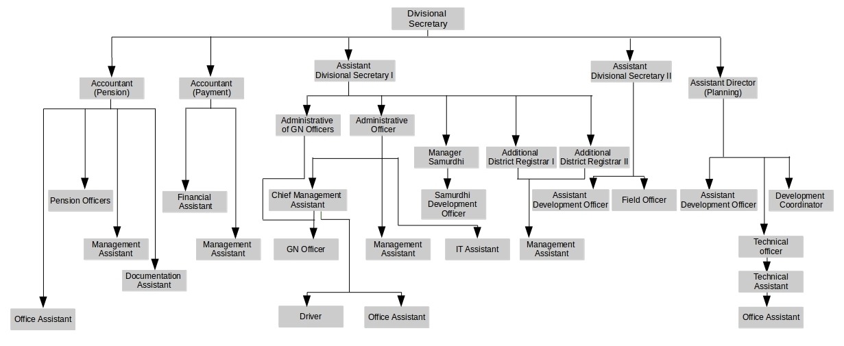 organization structure en