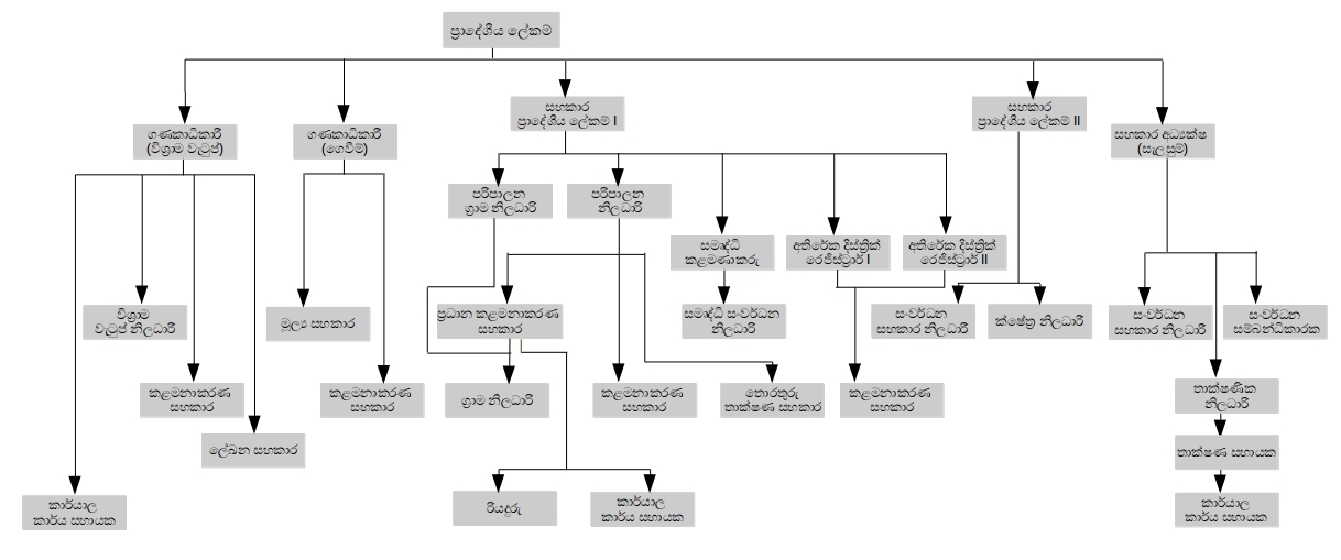 organization structure en